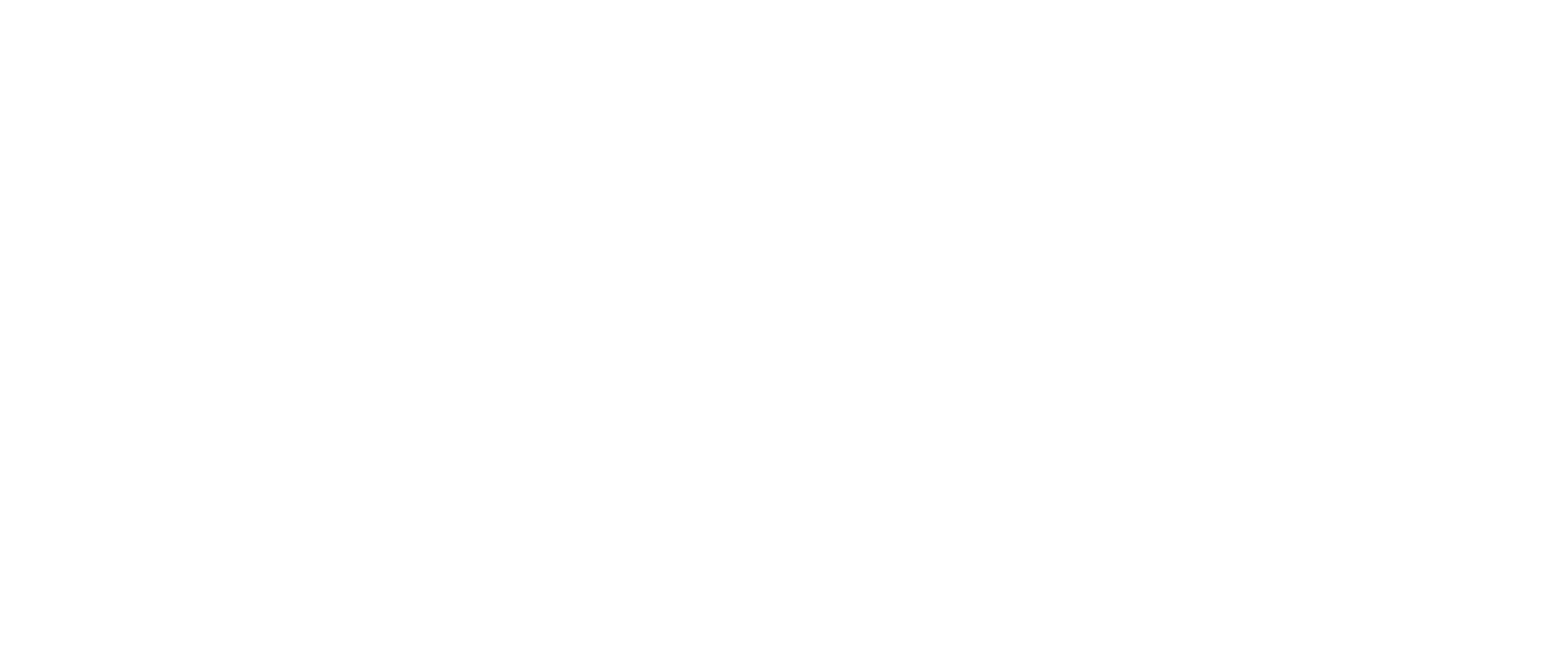 Top Store