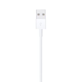 Apple Lightning to USB Cable (1m)